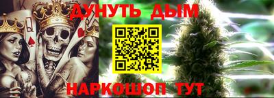apvp Владимир