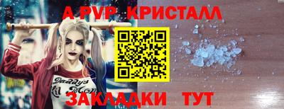 apvp Владимир