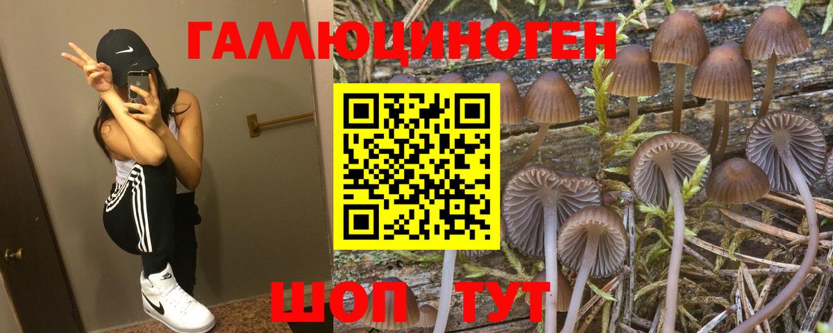 Галлюциногенные грибы мухоморы  Дальнегорск  Галлюциногенные грибы прущие грибы 