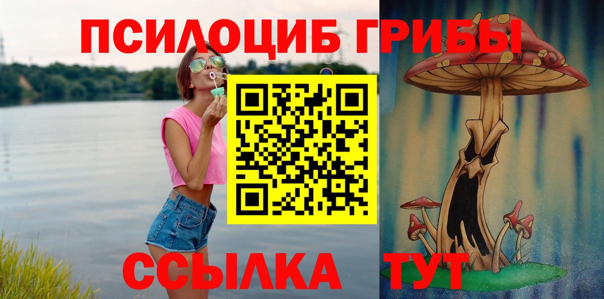 Дальнегорск  Псилоцибиновые грибы мухоморы  Вход с VPN 