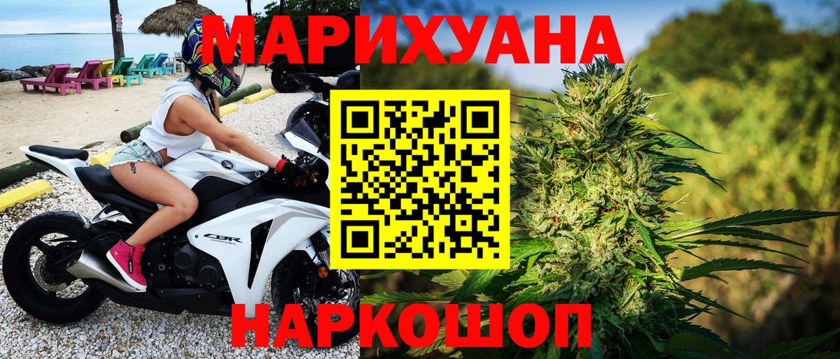 Каннабис OG Kush Дальнегорск